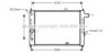 TTV 03048797 Radiator, engine cooling
